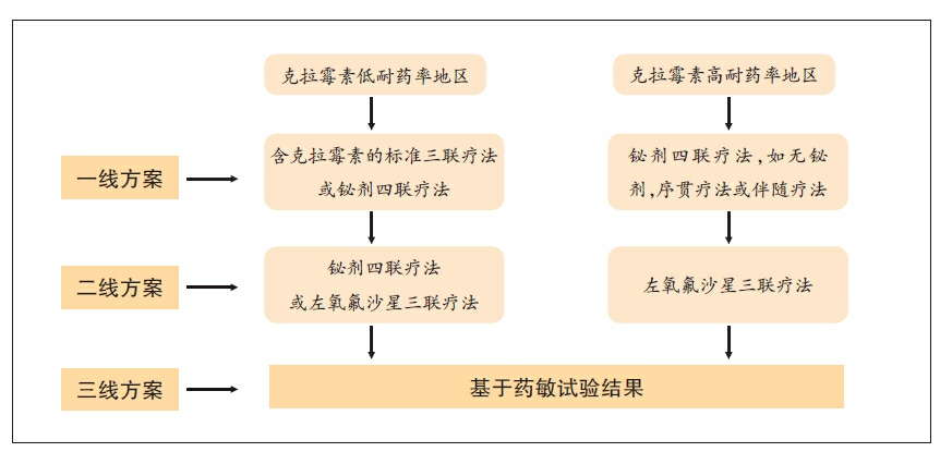含铋四联根除幽门螺旋杆菌方案及除菌适应性 微医(挂号网)