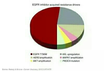 原创egfr tki耐药后的应对整理(一)