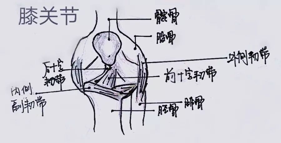 说了如果发生在我身上的疼痛,如果已经确诊为髌骨外侧过度挤压综合征