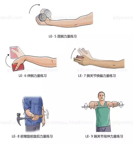 le-1 腕关节主动活动度练习 1,腕关节掌屈指手腕向手掌一面活动,背伸