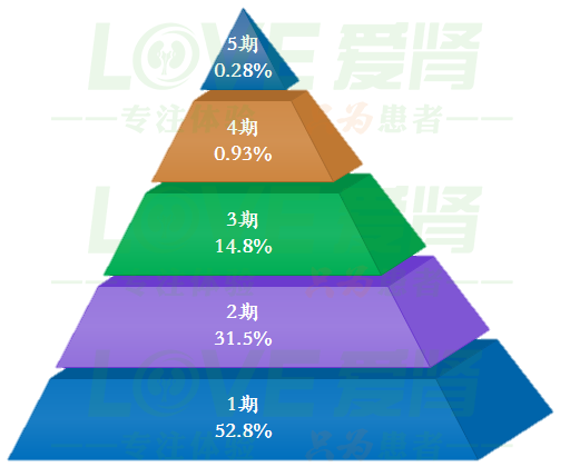 原创做到这些,不要再担心会得尿毒症!