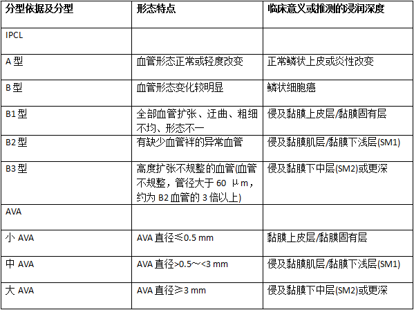 早期食管鳞癌放大内镜下日本食管学会分型(jes分型)