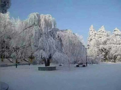一张表汇总小细胞肺癌的化疗方案