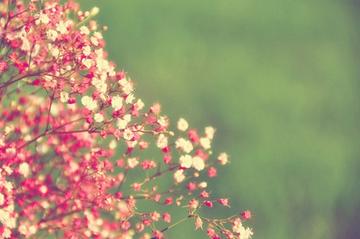 妊娠期或哺乳期得了甲亢咋办?药物治疗对胎儿