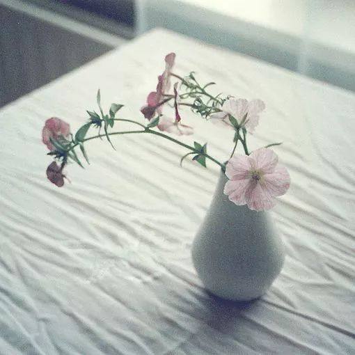 甲状腺功能障碍对女性生育的影响