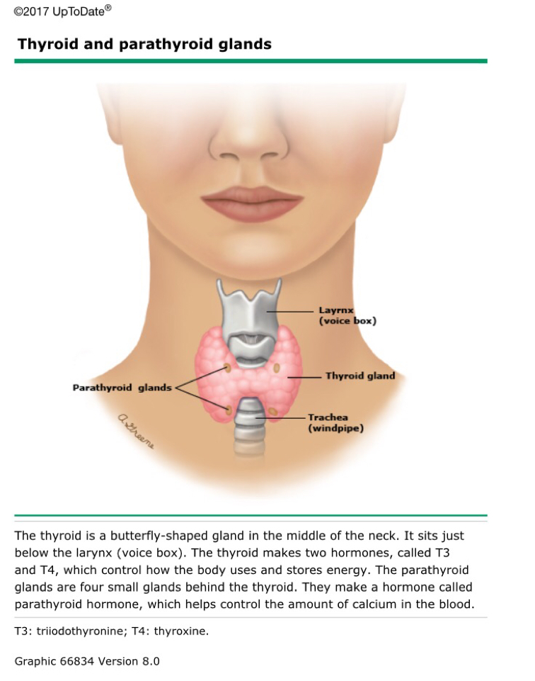 甲状腺癌患者教育(转自uptodate)