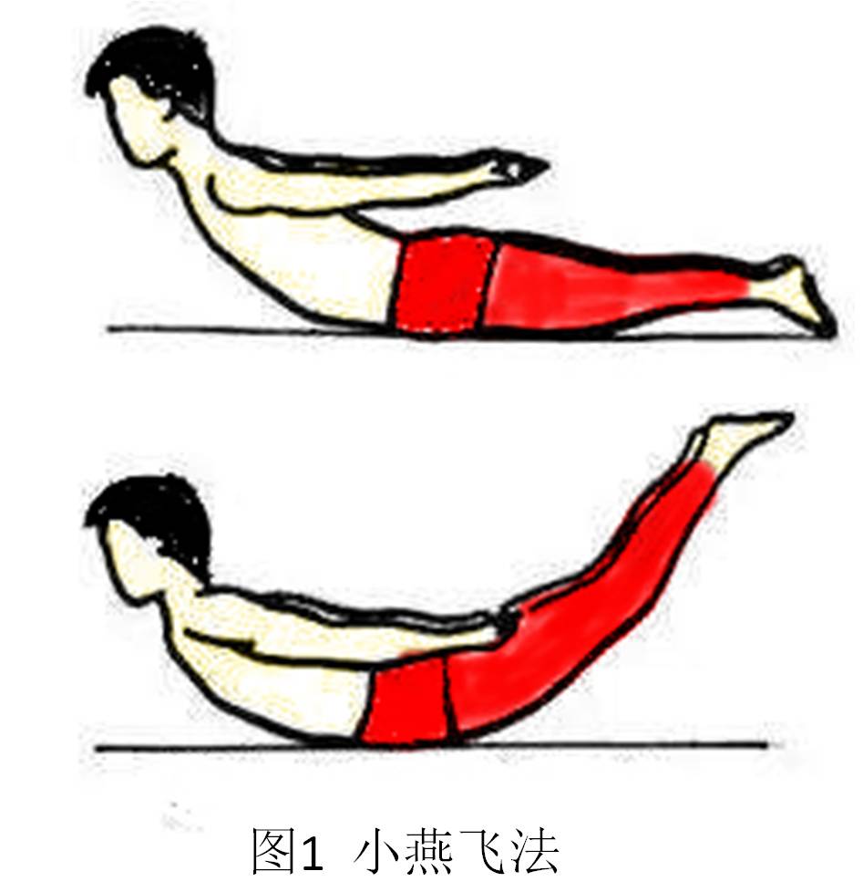 腰背肌锻炼正确图解图片