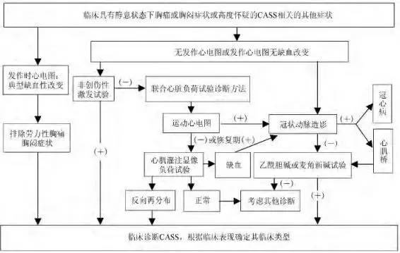 冠状动脉痉挛综合征(cass)诊断流程图