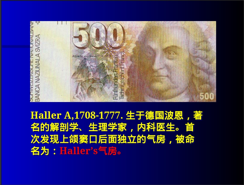 鼻内窥镜手术发展史 - 微医(挂号网)