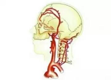 晕车,晕船,晕飞机?其实好多头晕都是颈椎病!