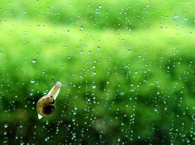 潮湿环境对白癜风有什么危害-微医