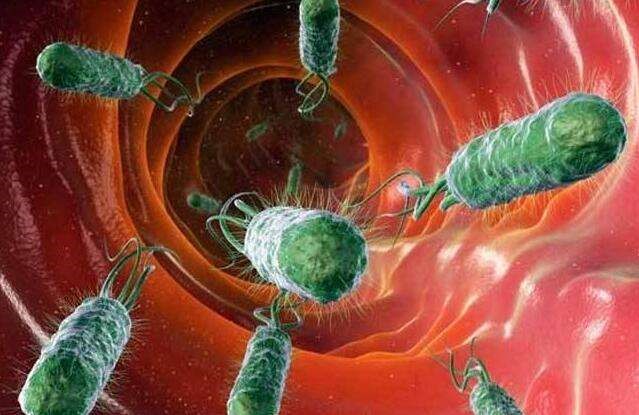 最新国际幽门螺旋杆菌治疗指南