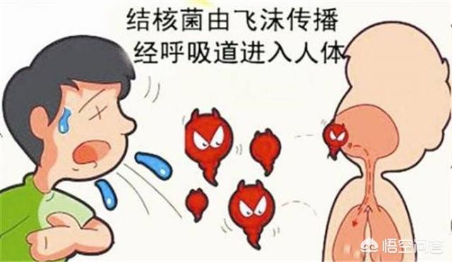 2024最新一轮感冒病毒（现在感染阳性的症状有哪些）