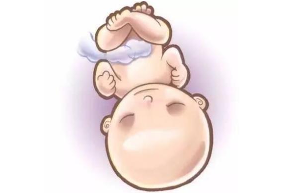 2.巨大儿(胎儿过大)