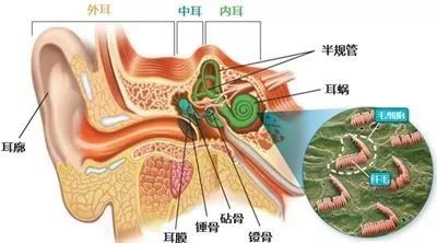 综述:突发性耳聋的最新进展