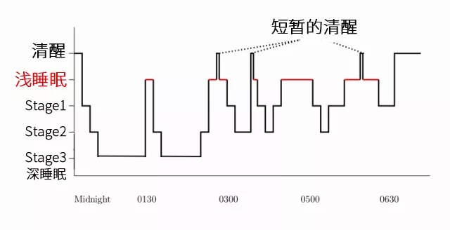 深睡眠才是王道 咱们的睡眠不是一条单调的直线,而是深睡眠和浅睡眠是