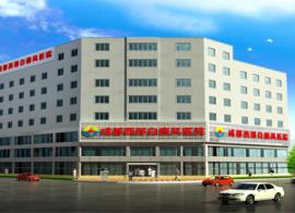 成都内科医院排名_成都华西医院图片(3)