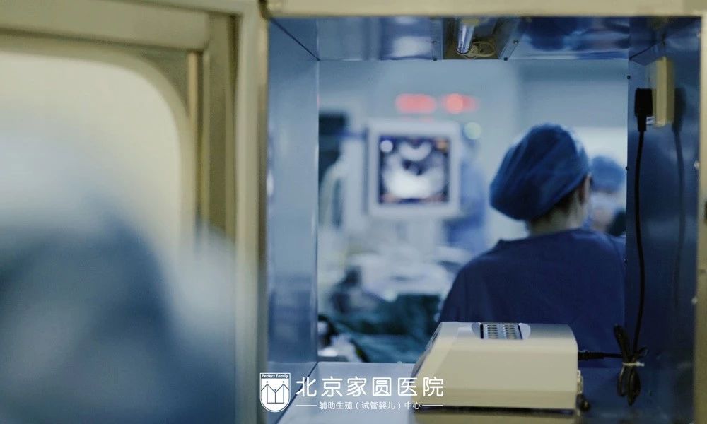 试管婴儿移植前必看:怎么提高怀孕的成功率!