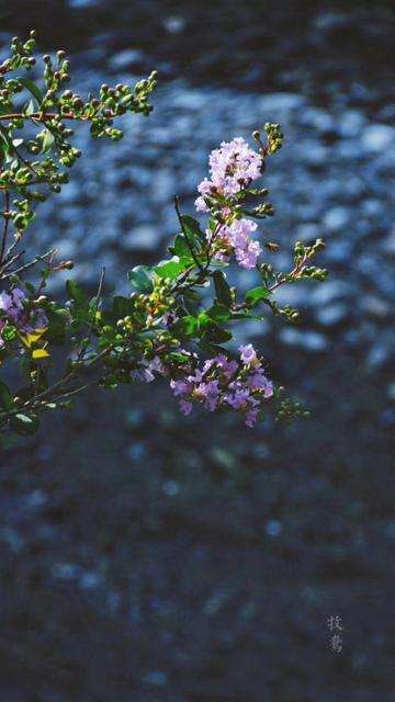 10个人中就有1个中招,出门或在家都要防沙门氏