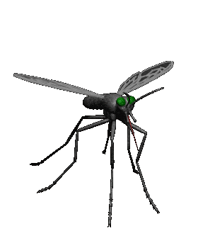 蚊子的威力——寨卡病毒
