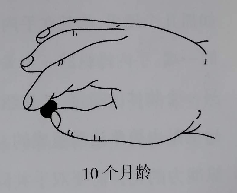 lrZ56834471?whs=720_588