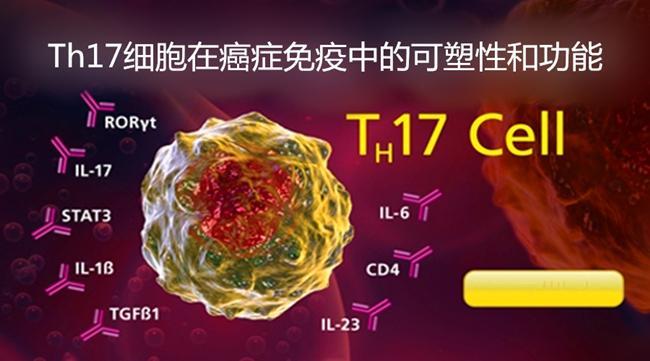 th17细胞在癌症免疫中的可塑性和功能