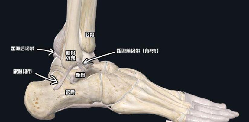 脚踝扭伤成习惯 可就真的伤不起 健康号 微医