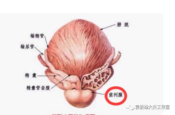 前列腺炎可以同房吗图片